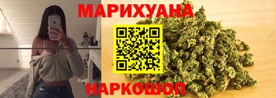стаф Славгород